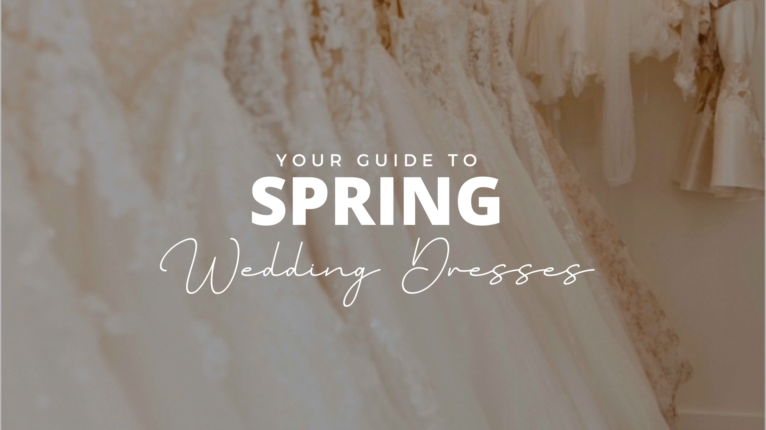 Your Ultimate Guide to Choosing the Perfect Spring Wedding Dress: 2024 Trends and Designers Unveiled Image